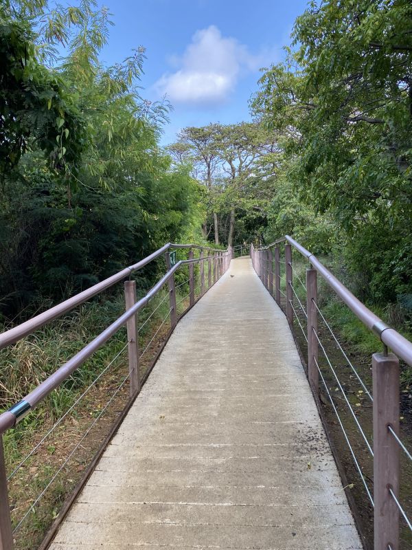 Concrete Path Installation in Salt Lake City, UT